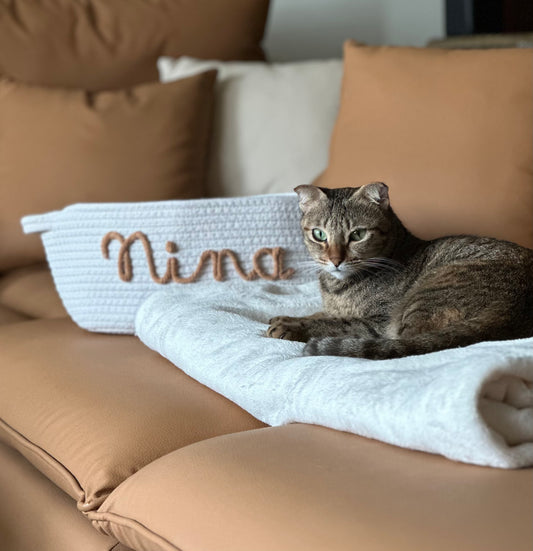 Pet Edition - Snug Basket