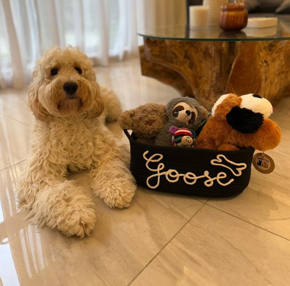 Pet Edition - Snug Basket
