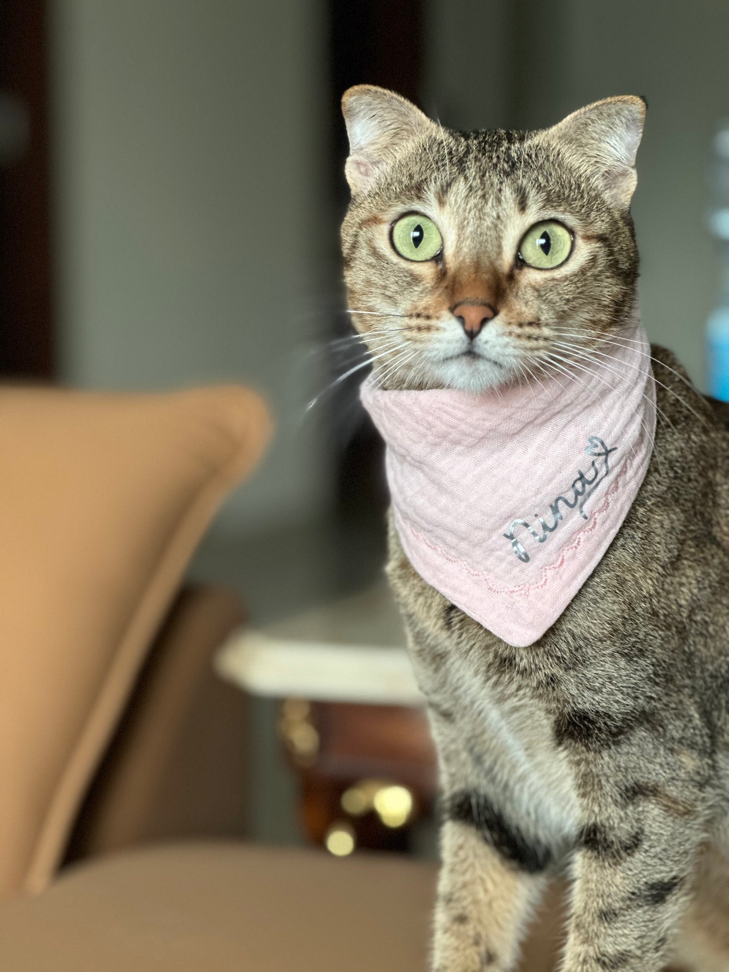 Signature Bandana
