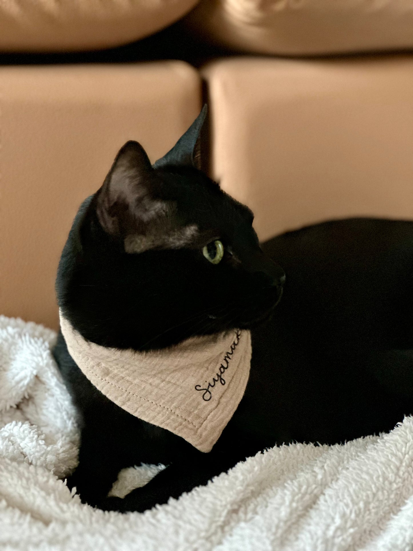 Signature Bandana